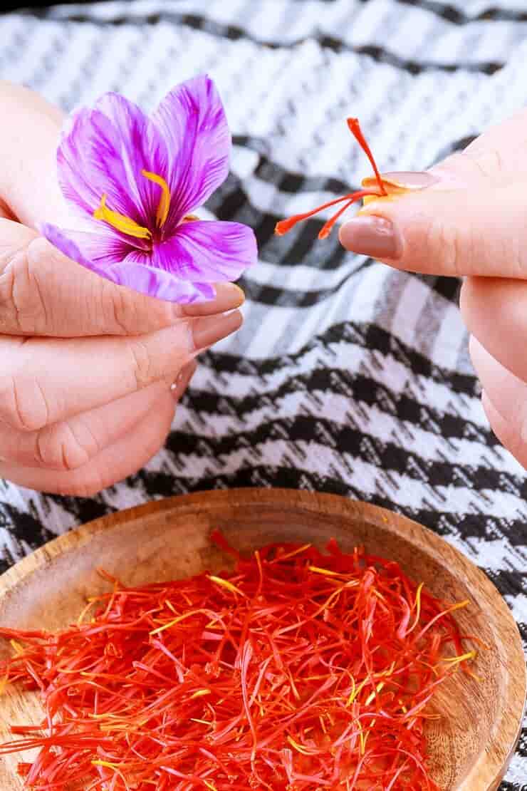 تصویر 4 از قیمت خرید زعفران نگین مشهد با فروش عمده